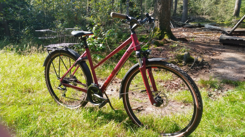 Cube Allroad Nature Trapez Citybike