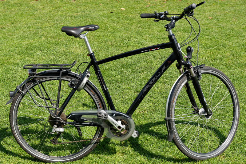 Gazelle Torrente Excellent Herren - 28 Zoll (60 cm Rahmengröße - schwarz)