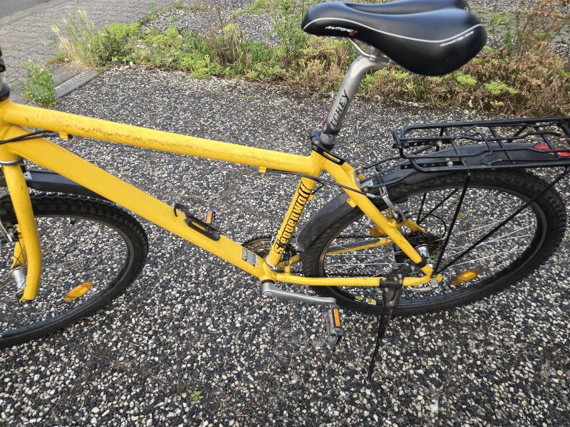 Gelbes Fahrrad von Steppenwolf