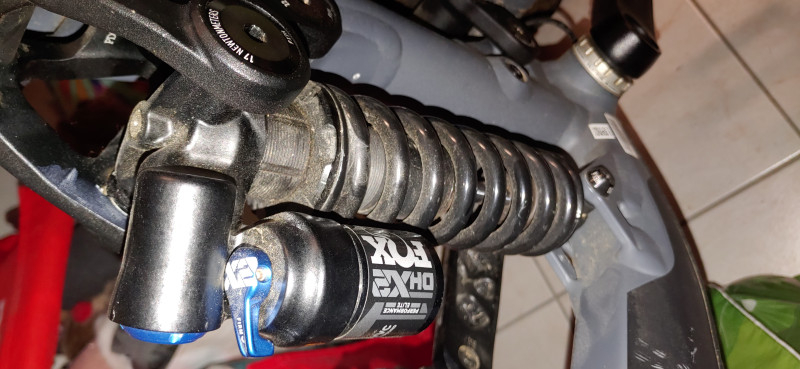 Ghost riot 29 Zoll full party