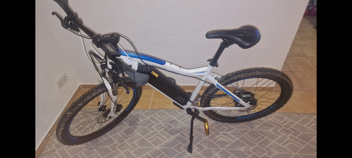 Neuster Artikel