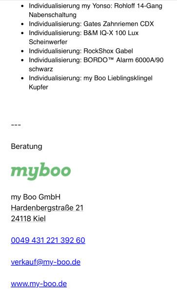 MyBoo My Yonso Bambusbike mit Rohloff Nabe