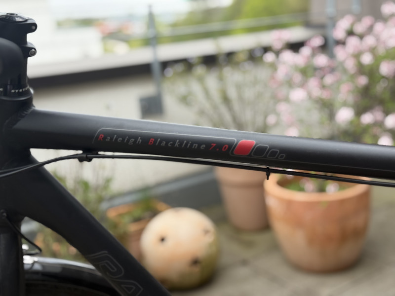 Raleigh Herren Trekkingrad 28 Zoll | XT/Deore | Top Zustand