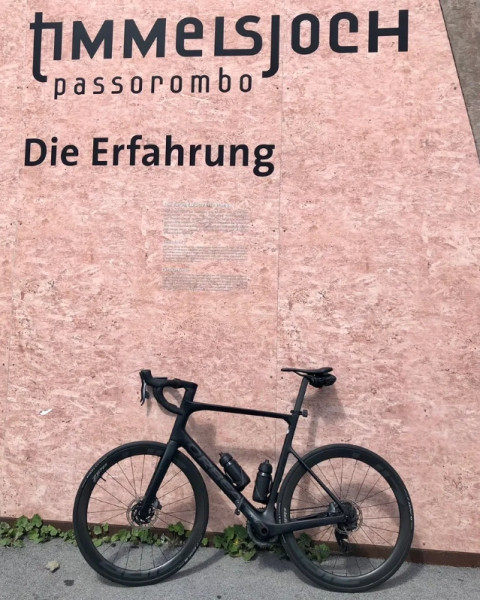 Neuster Artikel