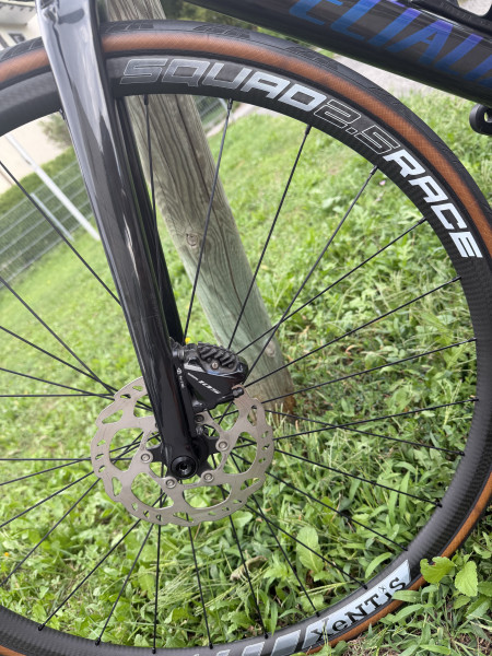 Specialized Tarmac SL6 Carbon Gr.52!Unisex
