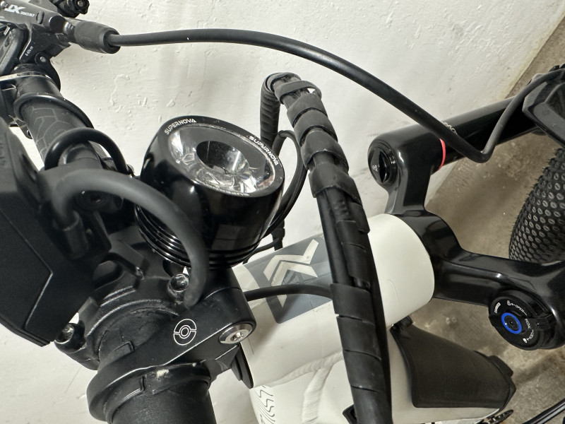 E-Bike Radon 29 Zoll Top Zustand