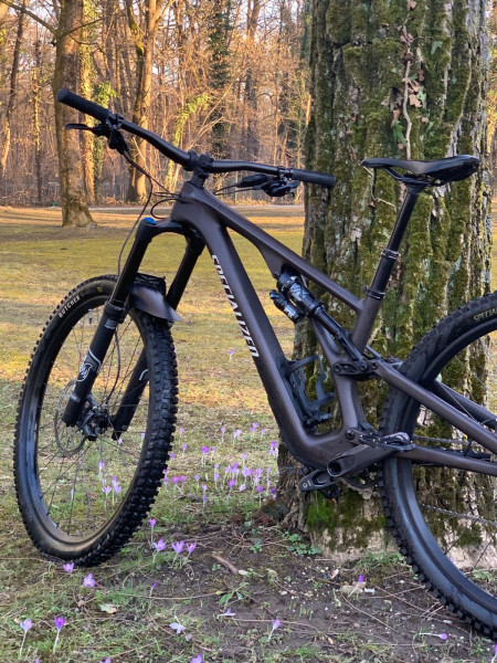 Neuwertig: Specialized Stumpjumper EVO Comp Carbon, kaum gefahren
