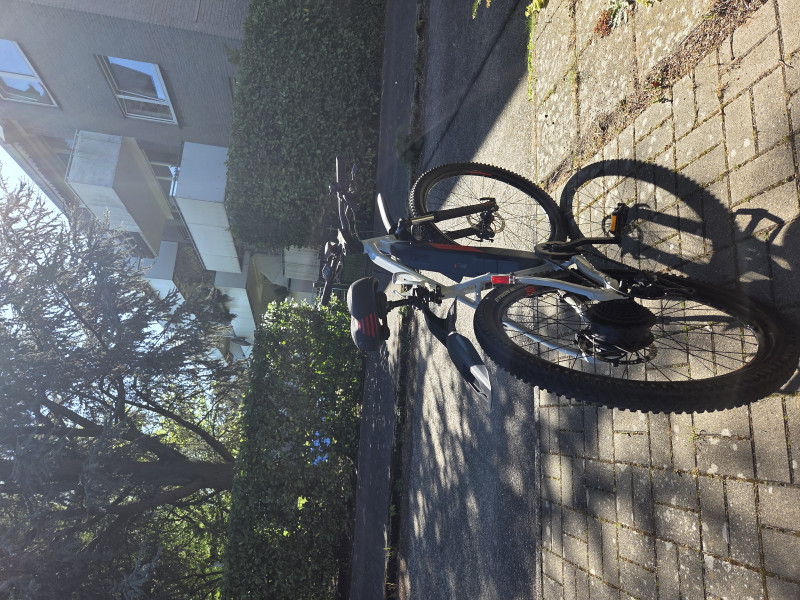 ROCKRIDER E-ST100 Elektro Mountainbike Fahrrad