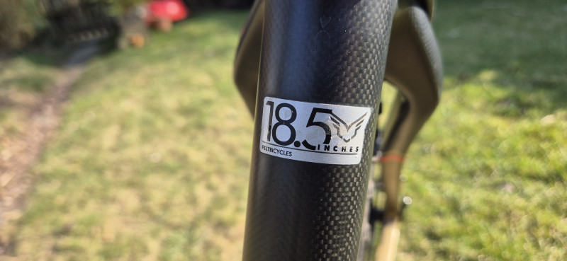 29er Hardtail MTB Felt Nine 1, Carbon, L (18,5) aus 2017