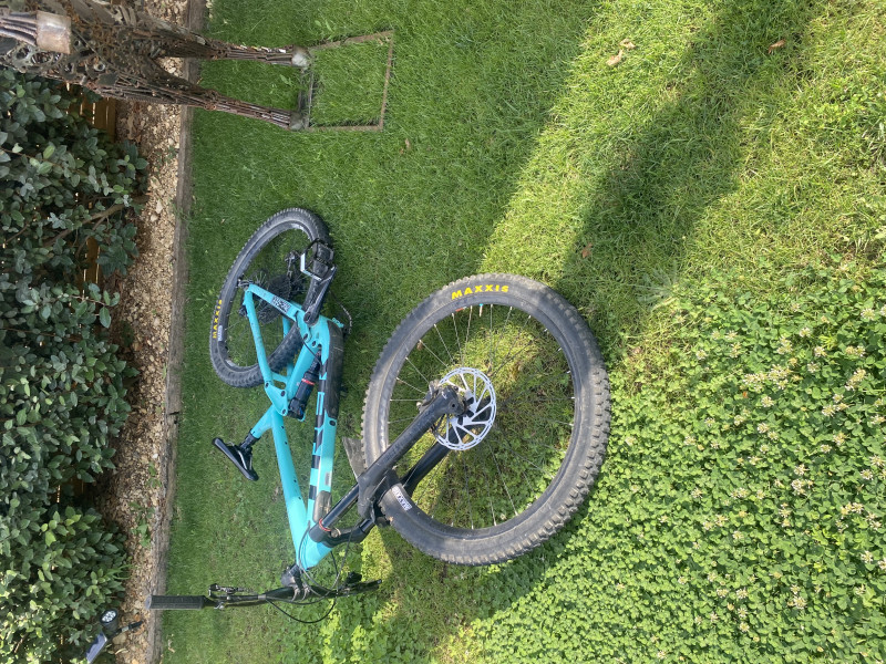 Trek remedy 8 2019