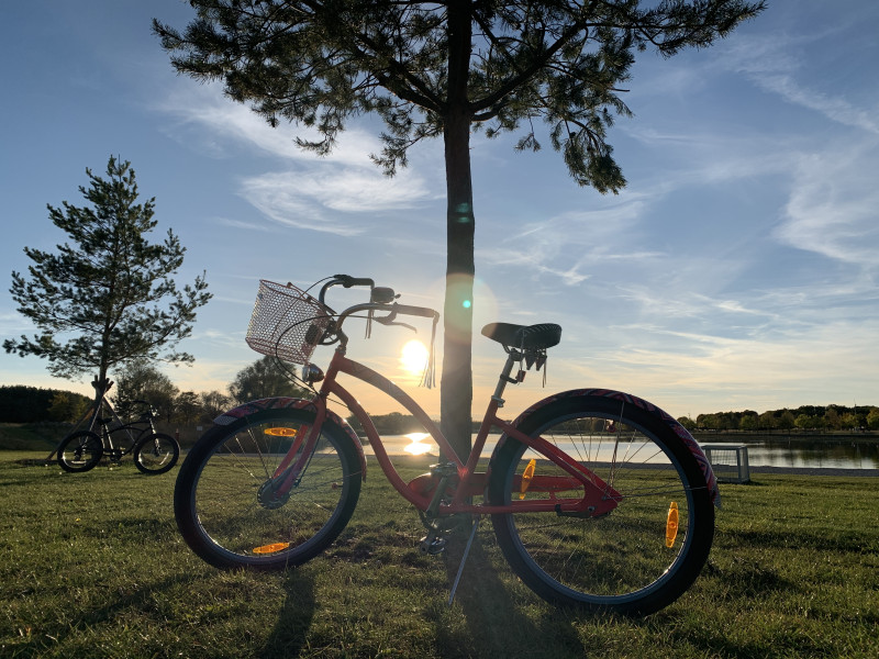 Electra Morningstar Beach-Cruiser / Damenrad / City Bike