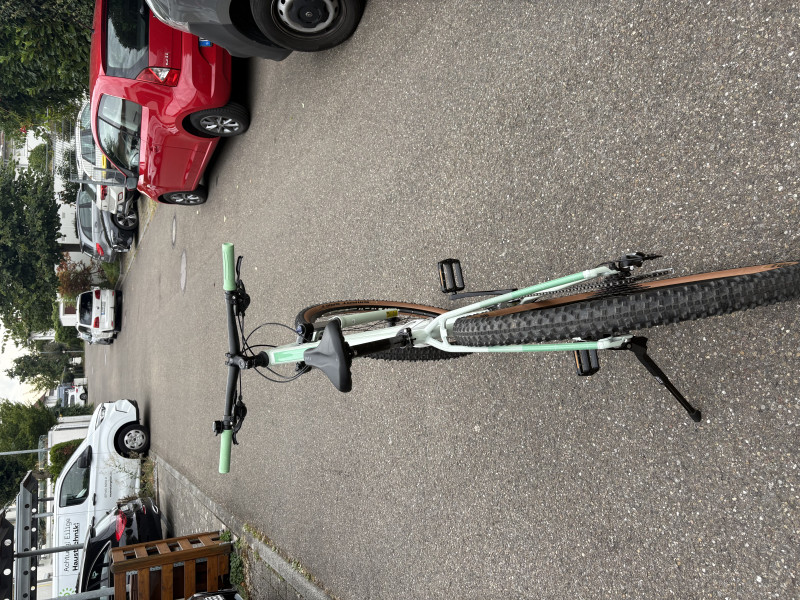 Cube Access WS Mountainbike