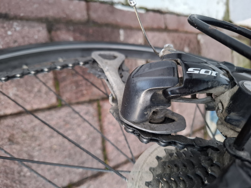 Bergamont Sweep 8.0