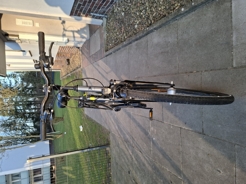 Pegasus Piazza 21 lite