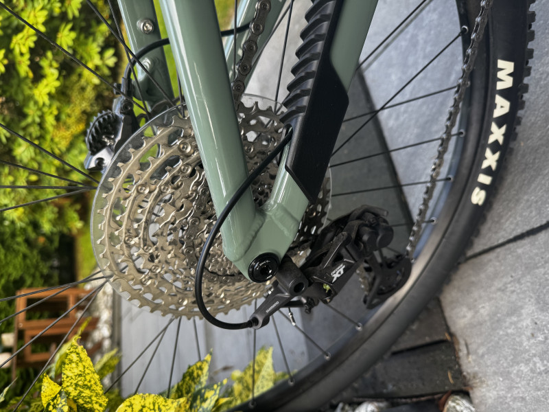 Neues Focus Thron 6.9 green 2022 RH-XL