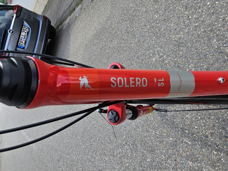 Damenfahrrad Pegasus SL 24