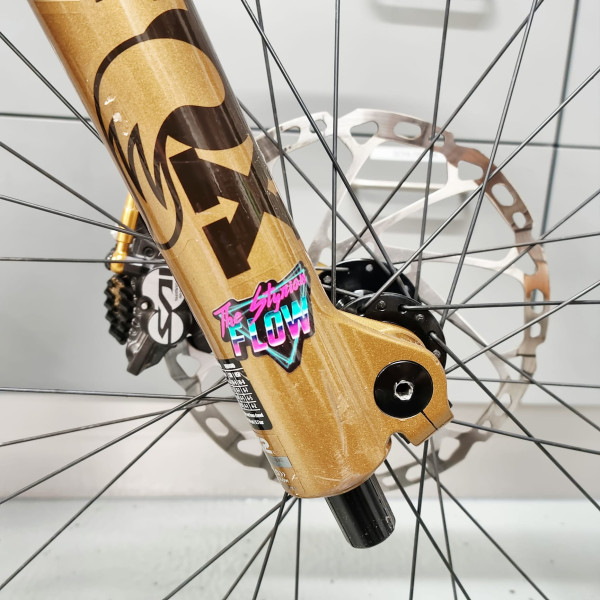Santa Cruz V10 X 01