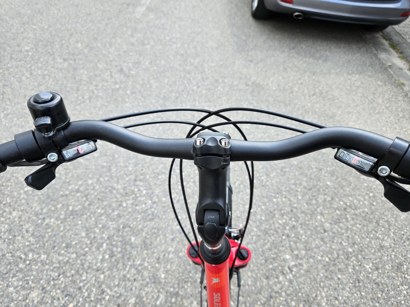 Damenfahrrad Pegasus SL 24