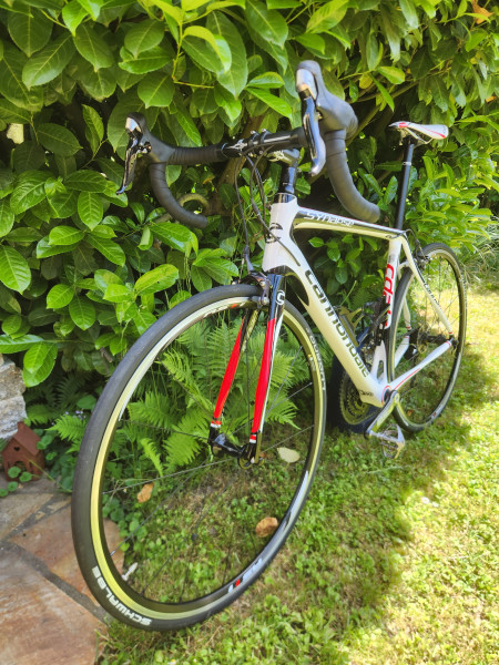 Cannondale 700 M Synapse Carbon 5 T Größe 54 cm Rennrad Damen