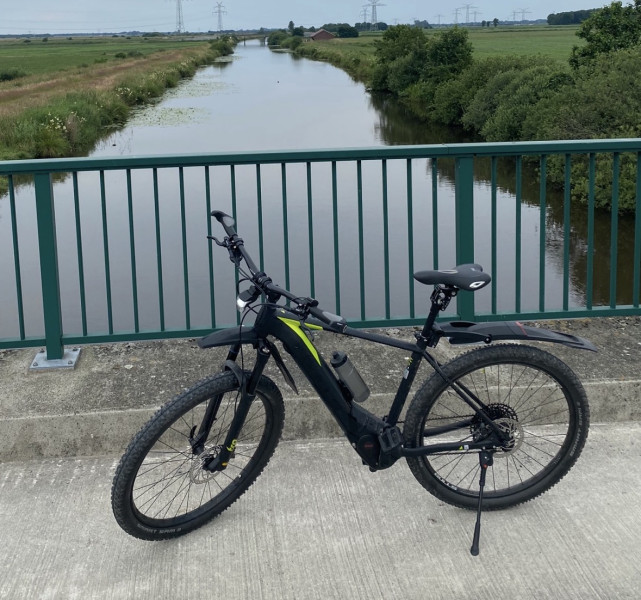 Bulls E-Mountainbike Evo 29- 51cm RH.