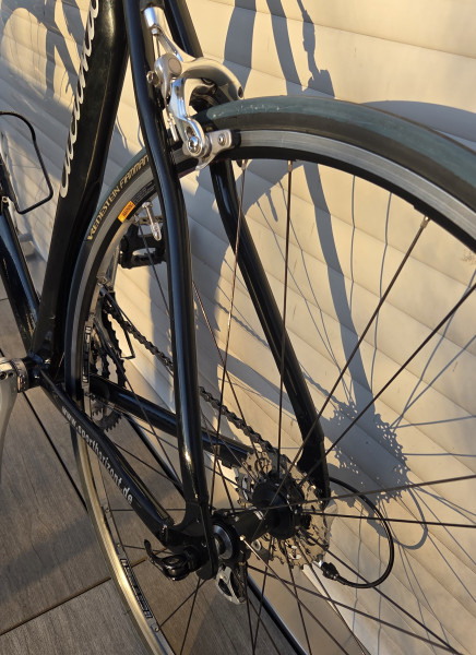 Cucuma / Sporthorizont