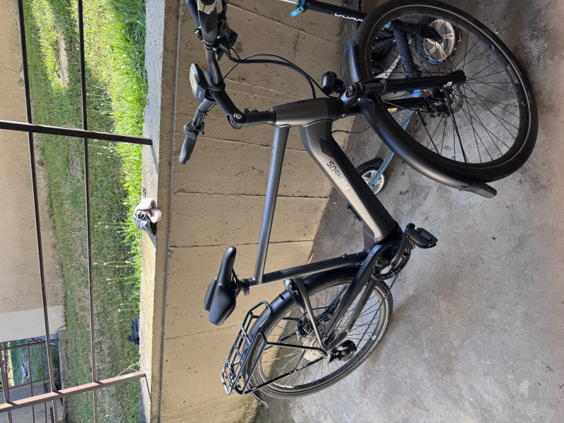 Pegasus Premio EVO 10 Lite – Herren (230km)
