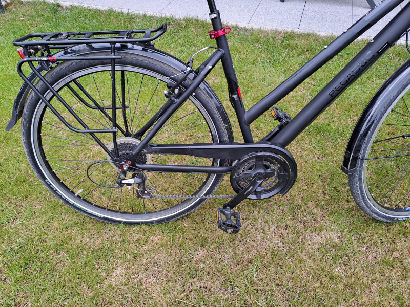 Trekkingbike Pegasus Solero SL
