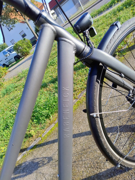Rabeneick TS5 Urbanrad 28"50