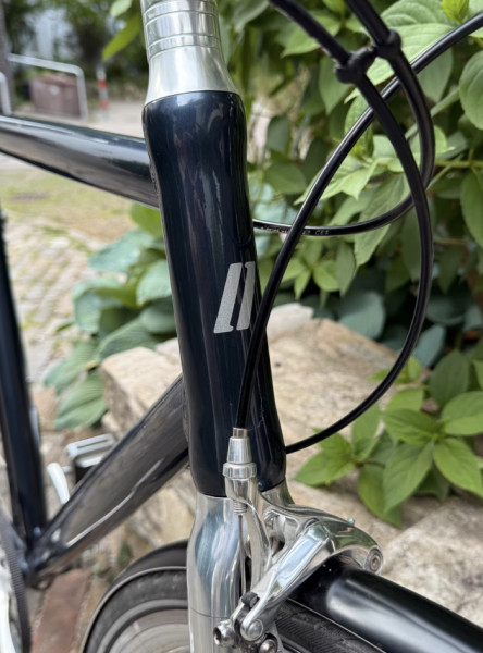Verkaufe: Schindelhauer Ludwig VIII (Gates Carbon Drive)