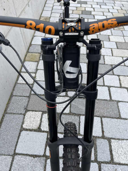Bergamont Straitline 8.0