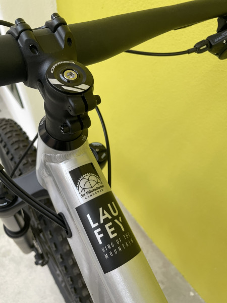 Orbea Laufey H10 (2023) – MTB Hardtail (Gr. M)