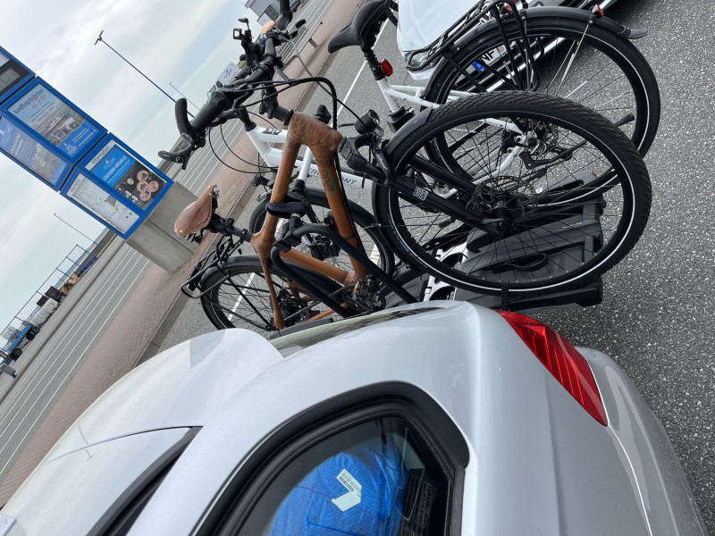 MyBoo My Yonso Bambusbike mit Rohloff Nabe