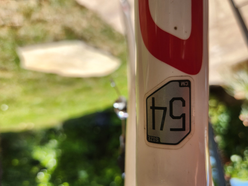 Cannondale 700 M Synapse Carbon 5 T Größe 54 cm Rennrad Damen