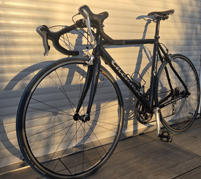 Cucuma / Sporthorizont