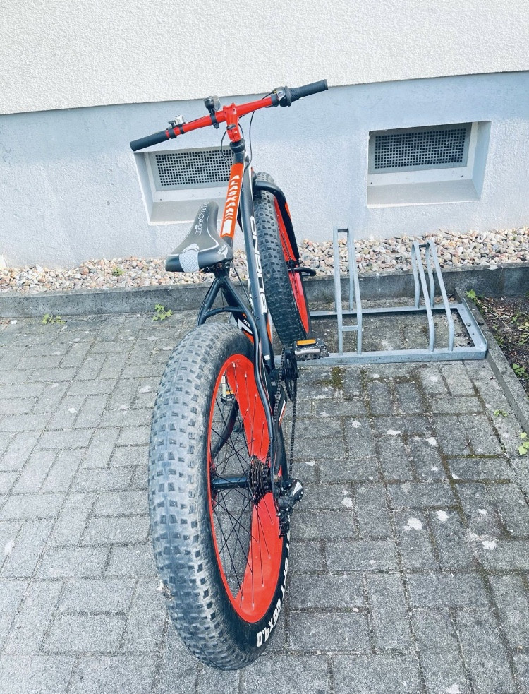 Neuster Artikel