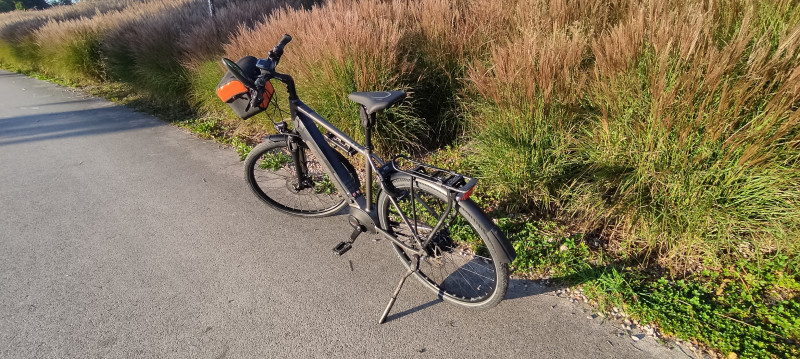 Raleigh Kent Premium günstiges Trekking E Bike mit Riemenantrieb