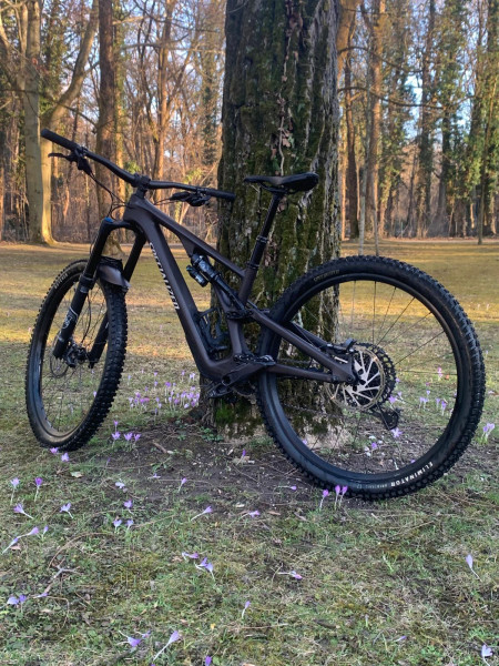 Neuwertig: Specialized Stumpjumper EVO Comp Carbon, kaum gefahren