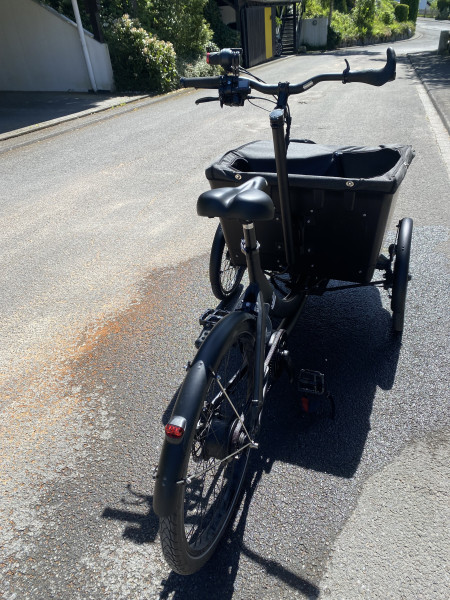 Lastenfahrrad Triobike Boxter Bross