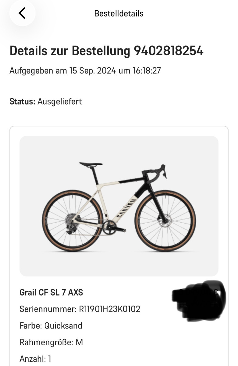 Neuster Artikel