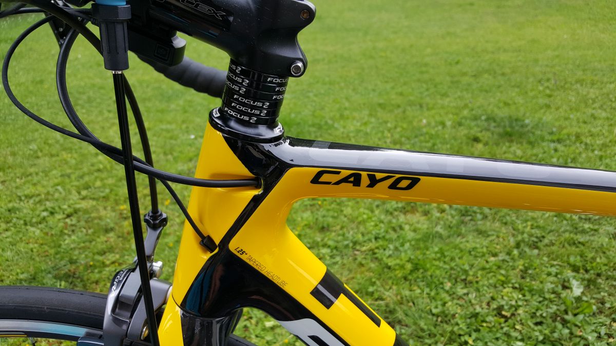 focus cayo evo ultegra
